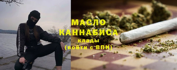 дмт Лабытнанги