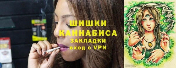 дмт Лабытнанги