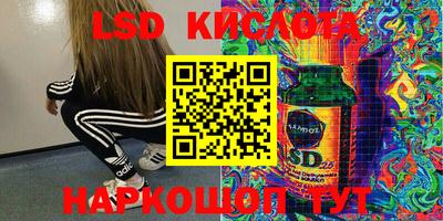PSILOCYBIN Обь