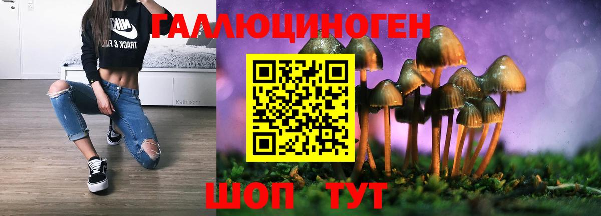 Галлюциногенные грибы GOLDEN TEACHER Якутск