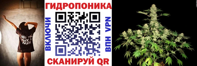 купить наркотики цена  Якутск  blacksprut ТОР  Шишки марихуана MAZAR 